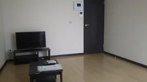 豊川市民病院周辺のマンスリーマンション・ウィークリーマンション「レオネクストスイセン 105(No.377888)」メイン画像