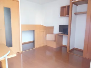 群馬大学荒牧キャンパス周辺のマンスリーマンション・ウィークリーマンション「レオパレスＰＥＡＣＥ 203(No.389646)」メイン画像