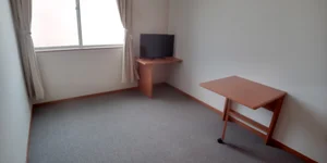 のマンスリーマンション・ウィークリーマンション「レオパレスＴＡＫＡＹＡＭＡ 207(No.390910)」メイン画像