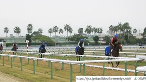 JRA宮崎育成牧場