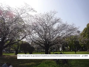 【文化の森】宮崎中央公園
