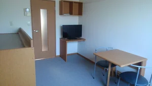 日本社会事業大学周辺のマンスリーマンション・ウィークリーマンション「レオパレスジョーヌ 202(No.391096)」メイン画像