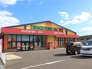 ドラッグストア モリ 柳丸店