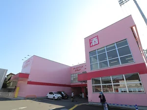 ディスカウントドラッグ　コスモス