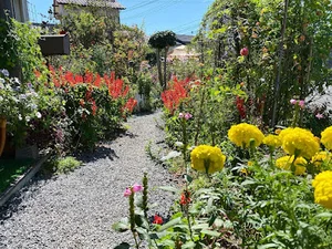 月曜日の庭まで徒歩３分