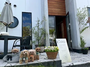 ラテアートカフェクレマまで車で７分