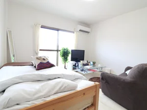 大き目のテレビと　ソファ付きのためゆったりお過ごしただけます