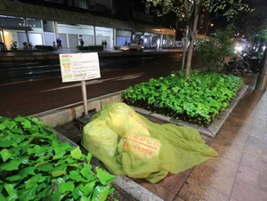 敷地外ゴミ捨て場（ゴミは黄色の業者指定）