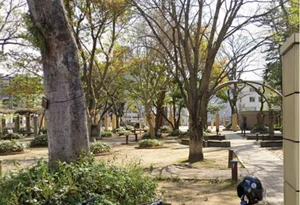 ジャングル公園