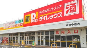 ダイレックス 中津中殿店
