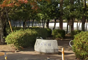 中央公園