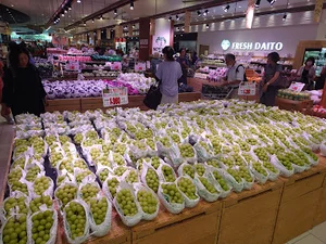 フレッシュダイトーテラスモール湘南店まで徒歩9分
