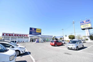 ゲオ丸亀南店まで徒歩4分、250m｡