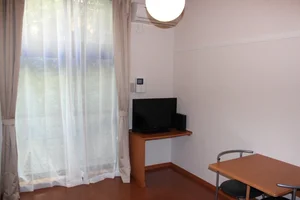 千葉県のマンスリーマンション・ウィークリーマンション「レオパレスＧａｌａｓｓｉａ 201(No.417029)」メイン画像