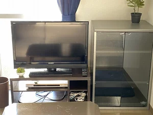 テレビ台の横に棚も備えてます!!法人契約も可能で、契約手続きは簡単♪