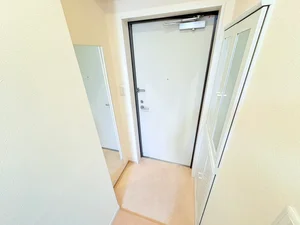 シューボックス収納大容量♪鏡も付いているので出かける前にチェックできます★★