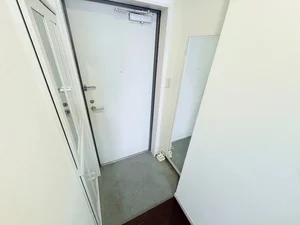 シューボックスも収納大容量♪鏡も付いているので出かける前にチェックできます★★