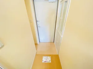 シューボックスも収納大容量♪鏡も付いているので出かける前にチェックできます★★