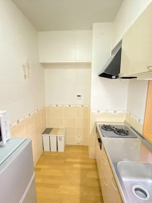 カウンターキッチン、２口コンロ付♪料理もしやすく、スーパーで食材を買ってきたらすぐにお料理に取り掛かれます！それもマンスリーマンションの良いところですね＾＾