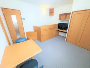 南九州大学宮崎キャンパス周辺のマンスリーマンション・ウィークリーマンション「レオパレス大宮 206(No.431206)」メイン画像