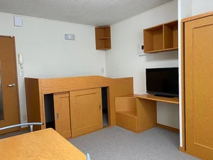 のマンスリーマンション・ウィークリーマンション「レオパレスミッキー 207(No.441133)」メイン画像