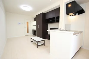 岡町駅（大阪府）のマンスリーマンション・ウィークリーマンション「レオネクストニューキッショー 102(No.441748)」メイン画像