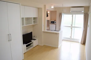 大阪公立大学周辺のマンスリーマンション・ウィークリーマンション「レオネクストルーナ 203(No.453547)」メイン画像