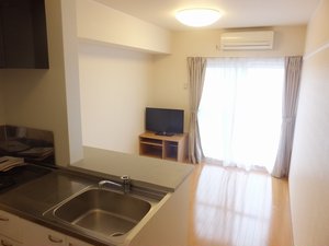群馬県のマンスリーマンション・ウィークリーマンション「レオパレスドルフⅡ 110(No.464545)」メイン画像