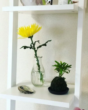 気軽にお花やグリーンを飾ることが出来ます