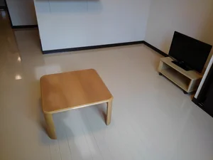 のマンスリーマンション・ウィークリーマンション「レオネクストムスクローズ 103(No.470839)」メイン画像