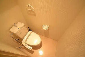 トイレにはウォッシュレットはもちろん、トイレットペーパーやトイレ用ブラシ・トイレ用洗剤も完備しておりますのでご安心ください♪また徒歩10分圏内にドラッグセガミ岡山表町店もございますので、”トイレットペーパーがなくなってしまった！“という場合でも安心です☆