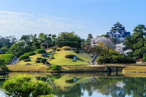 岡山後楽園まで徒歩24分、1.8km｡広い１ＬＤＫでゆっくりと快適に暮らせます♪岡山駅東口で築浅のRC構造の物件です。岡山駅周辺の物件ですので、利便性は抜群です◎