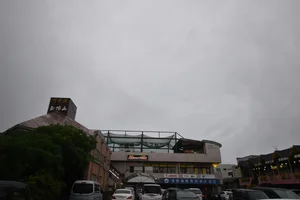 キリマンジャロなど店複数あり