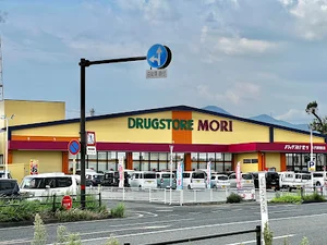 ドラッグストアモリ 八代中北店まで車で8分