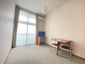 神奈川県のマンスリーマンション・ウィークリーマンション「レオパレスＡｍｏｕｒⅡ 302(No.480865)」メイン画像