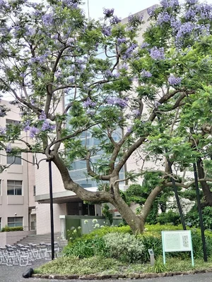 神奈川歯科大学まで車で6分