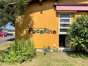 ペコリーノまで徒歩3分