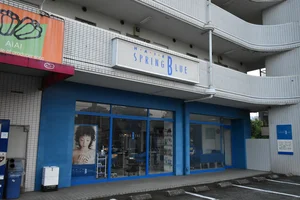 スプリングブルー