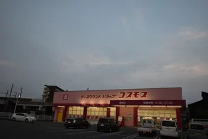 ディスカウントドラッグコスモス 島崎店