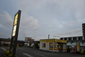 コインランドリーどるふぃん月出店