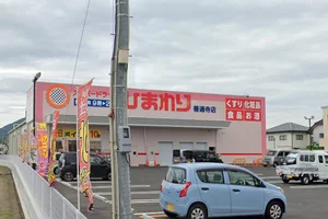 スーパードラッグひまわり 善通寺店まで徒歩11分、900m｡