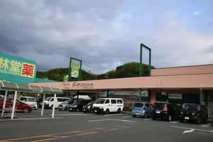 マスダグリーン