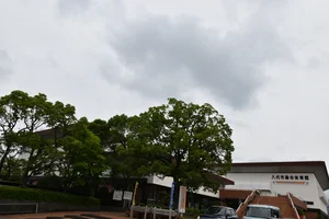 八代市総合体育館の駐車場