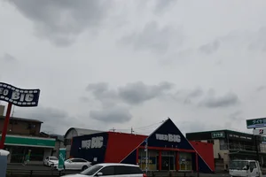 ビデオ　BIG