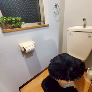 きれいな水回り♪