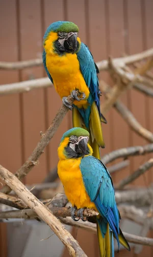 こどもどうぶつえんまで徒歩8分