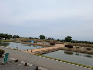 安田城跡資料館まで車で7分