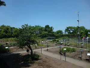 富山大学薬学部附属薬用植物園まで車で5分