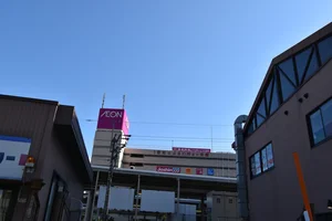 イオン近江八幡店まで徒歩11分、900ｍ。