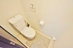 トイレ用洗剤、ブラシをご用意しておりますので長期ご利用の場合の気になる汚れなどもお掃除して頂けます♪オプション不要の滋賀長浜駅前ウィークリーマンション。